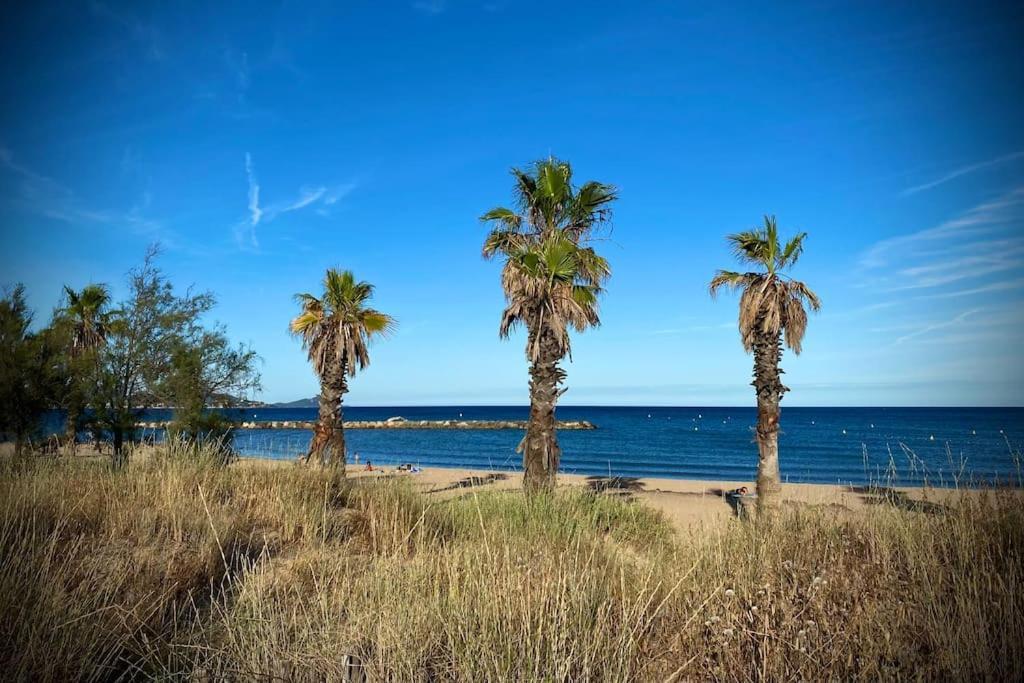 Port-Frejus, Le Paladien, Appartement 2 Pieces Climatise, Terrasse & Parking מראה חיצוני תמונה