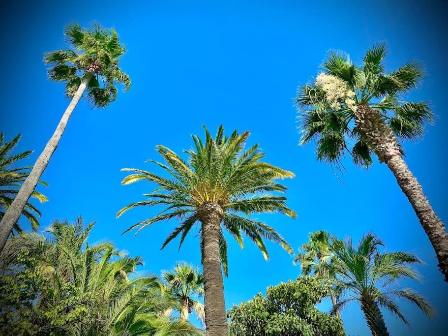 Port-Frejus, Le Paladien, Appartement 2 Pieces Climatise, Terrasse & Parking מראה חיצוני תמונה